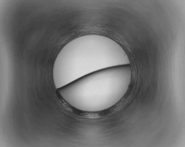 X0000115850719200911131126