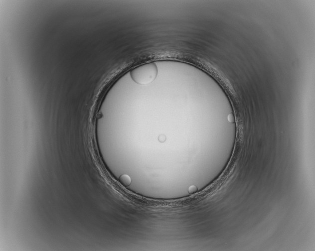 X0000115850721200911131126