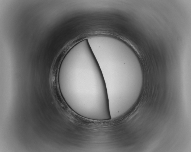 X0000115850723200911131126