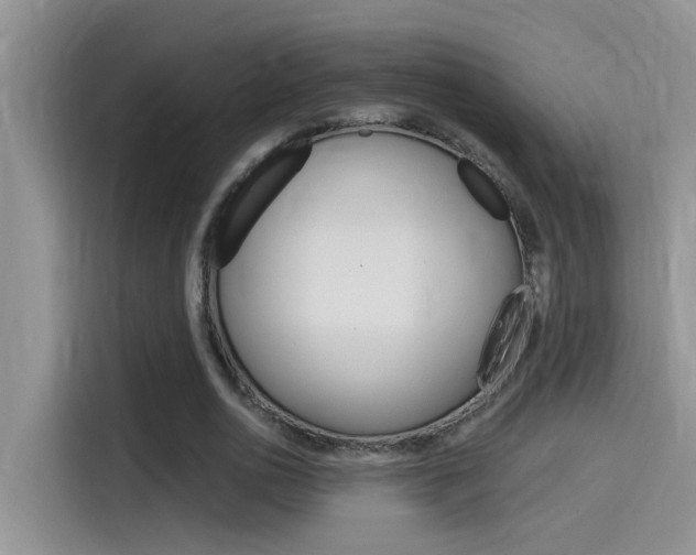 X0000115850726200911131126