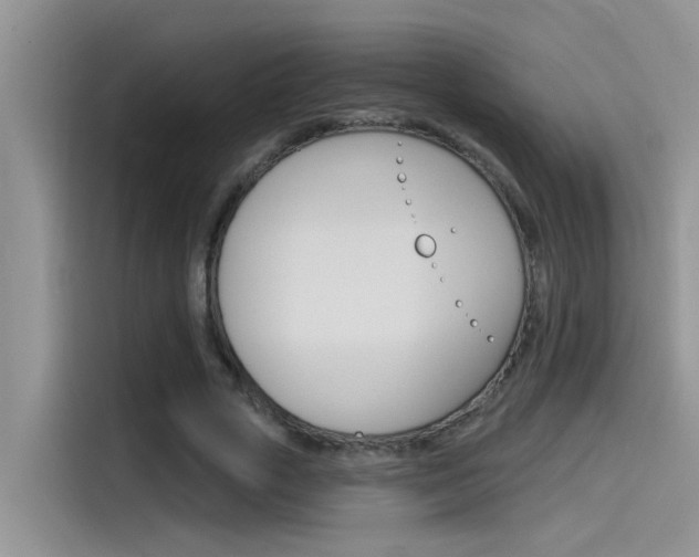 X0000115850729200911131126