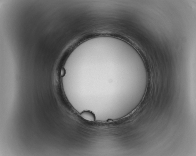 X0000115850731200911131126