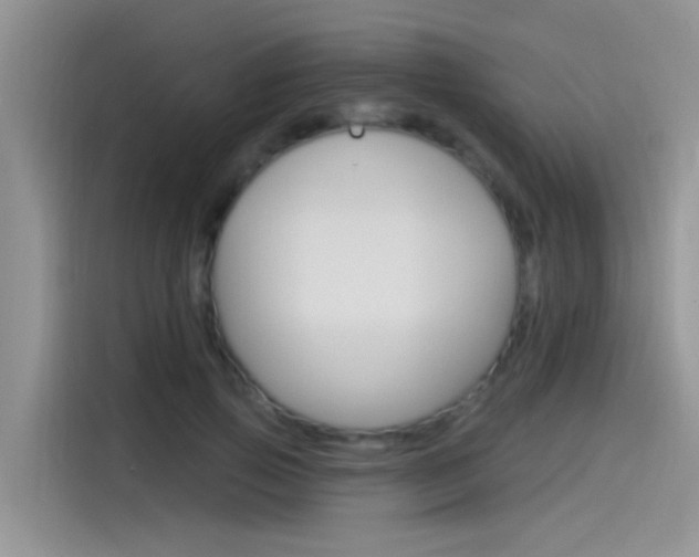 X0000115850741200911131126