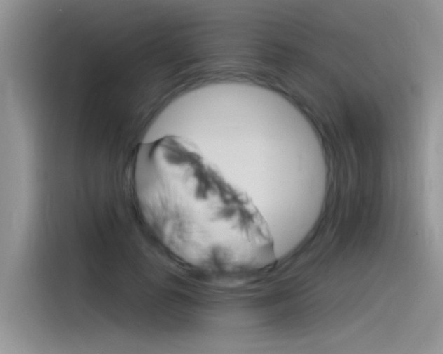 X0000115850747200911131126
