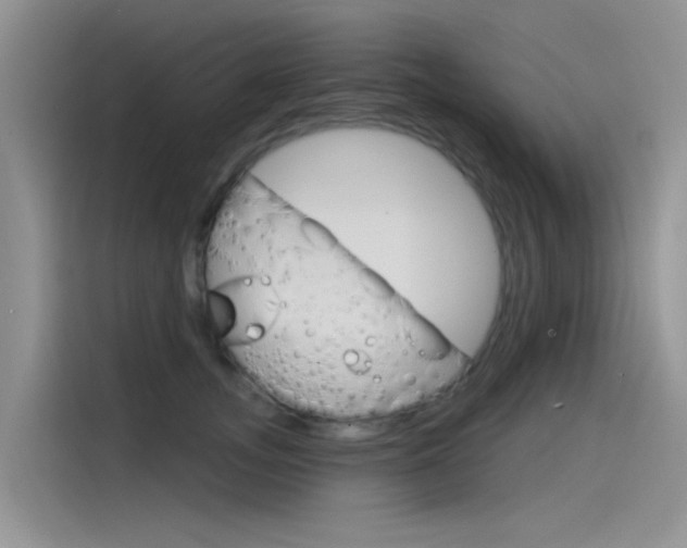 X0000115850755200911131126