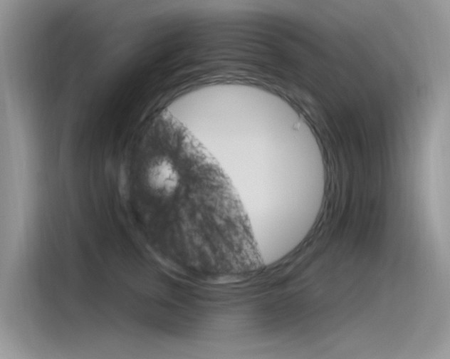 X0000115850759200911131126