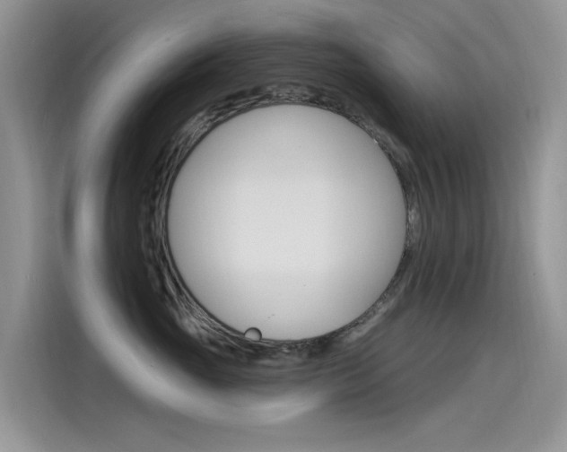 X0000115850765200911131126