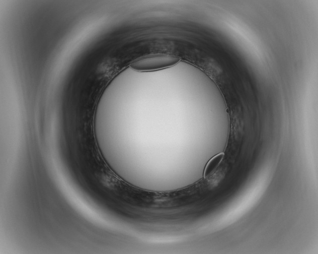 X0000115850766200911131126