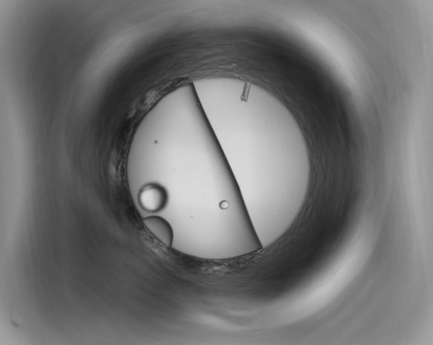 X0000115850767200911131126