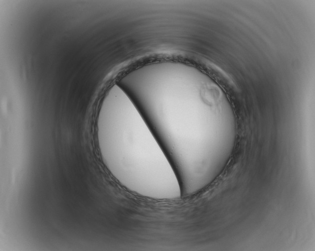 X0000115850776200911131126