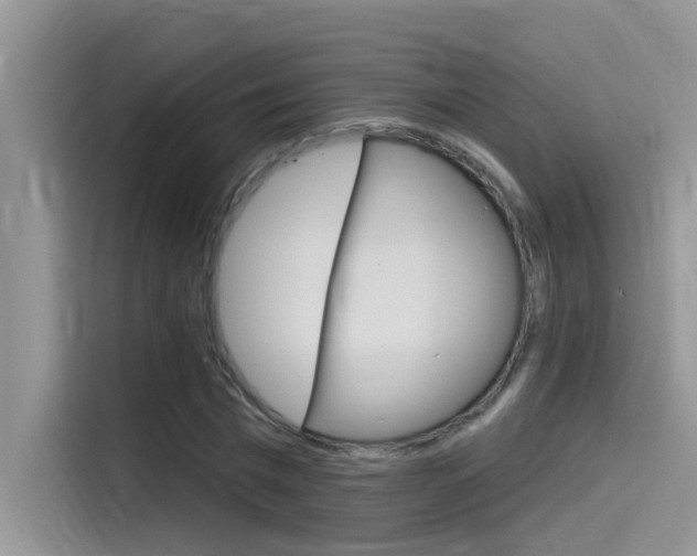 X0000115850777200911131126