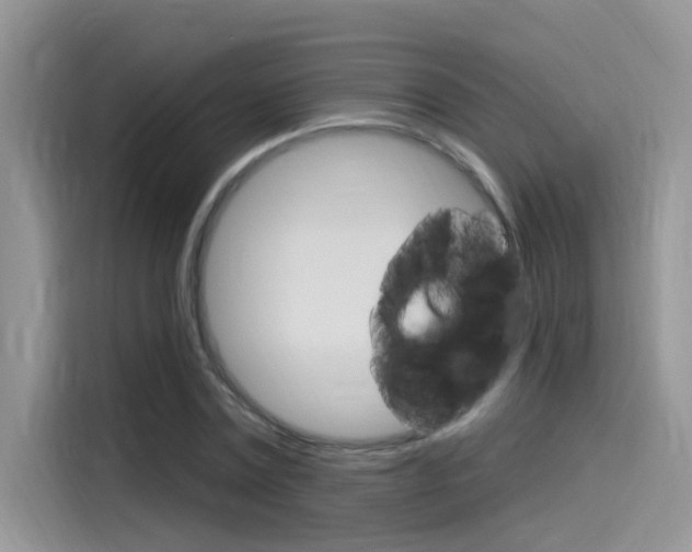 X0000115850779200911131126