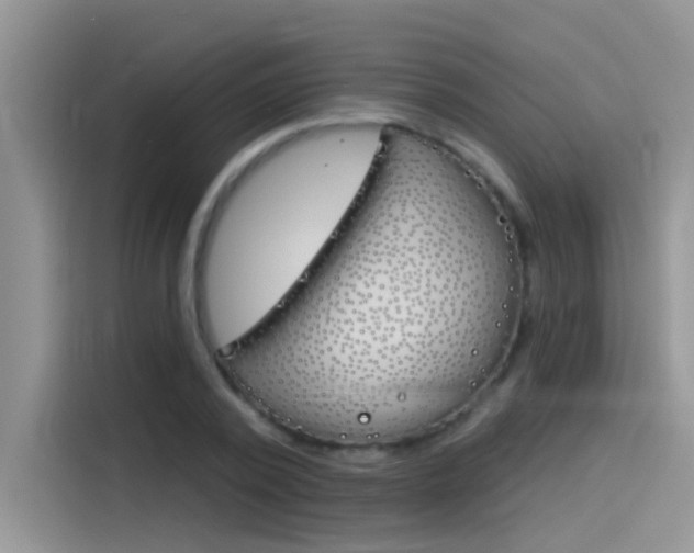 X0000115850784200911131125