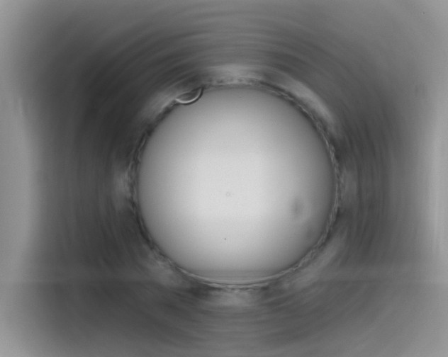 X0000115850785200911131125