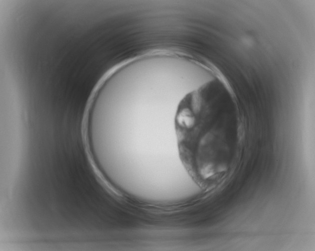 X0000115850795200911131125