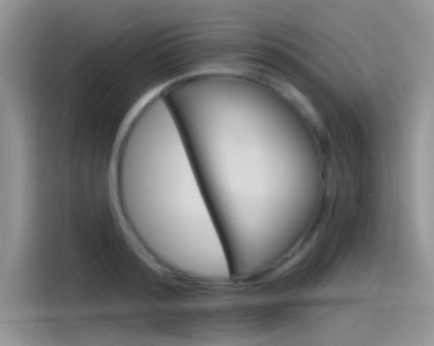 X0000115850796200911131125