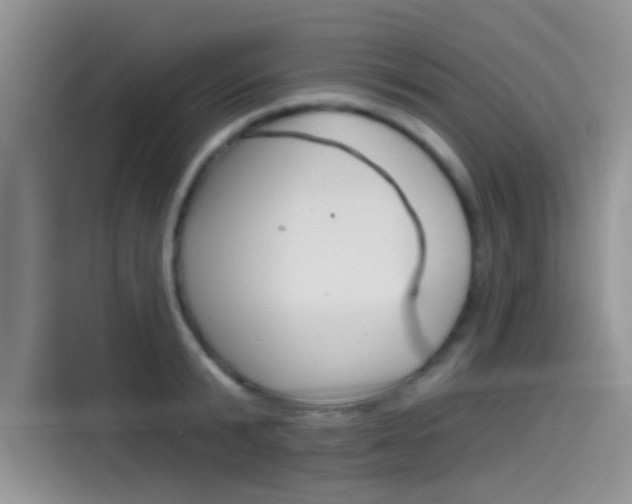 X0000115850799200911131125