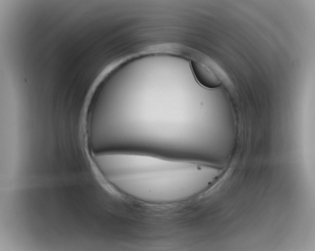 X0000115850800200911131125