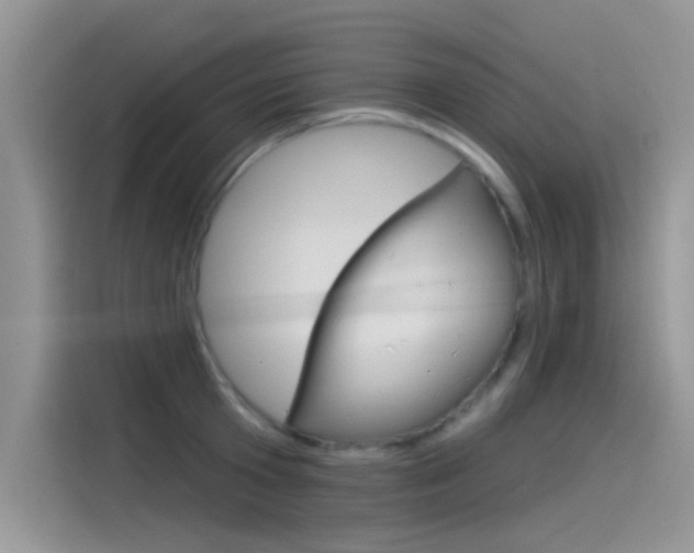 X0000115850801200911131125