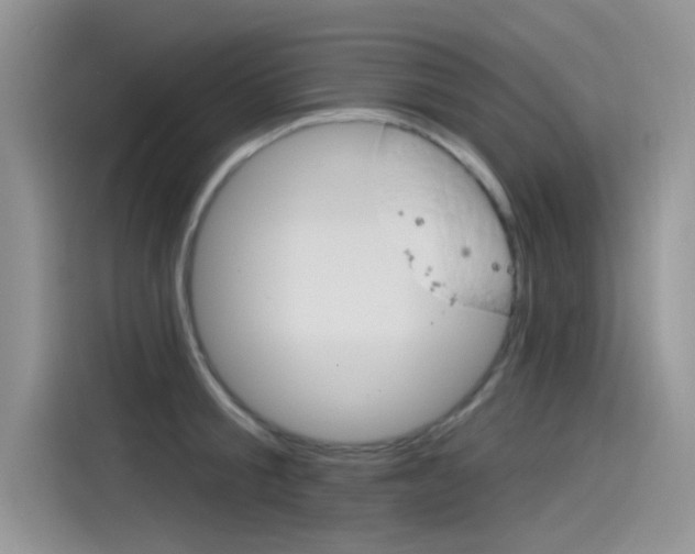 X0000115850805200911131125