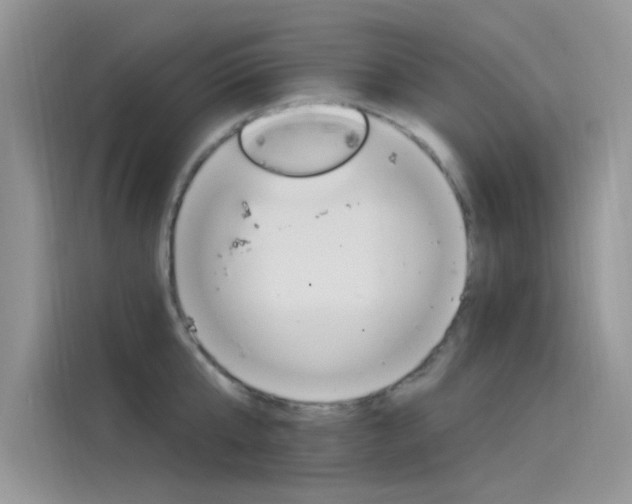 X0000115850807200911131125