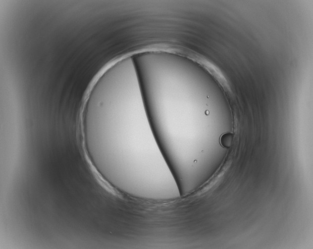 X0000115850808200911131125