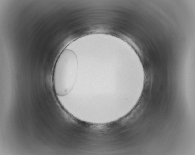 X0000115850810200911131125