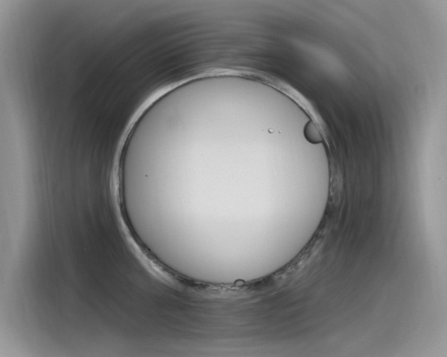 X0000115850811200911131125
