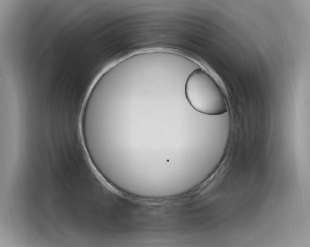 X0000115850813200911131125