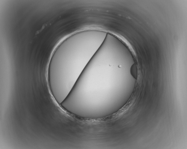 X0000115850815200911131125