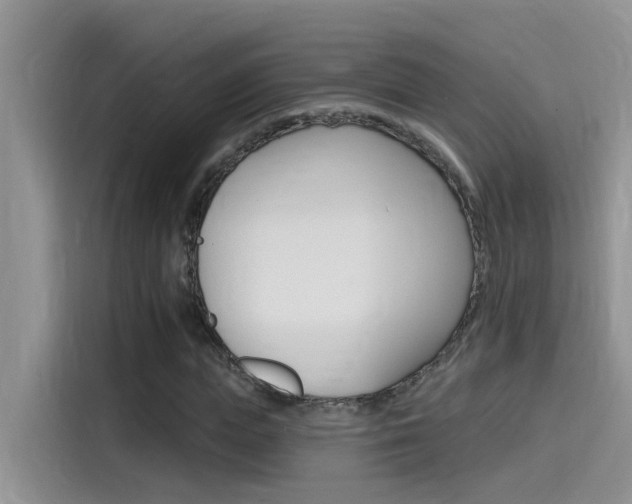 X0000115850823200911131125