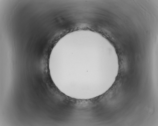 X0000115850824200911131125