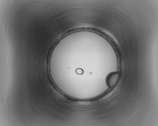 X0000115850825200911131125