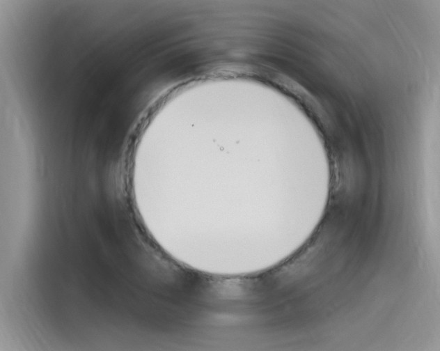 X0000115850828200911131125