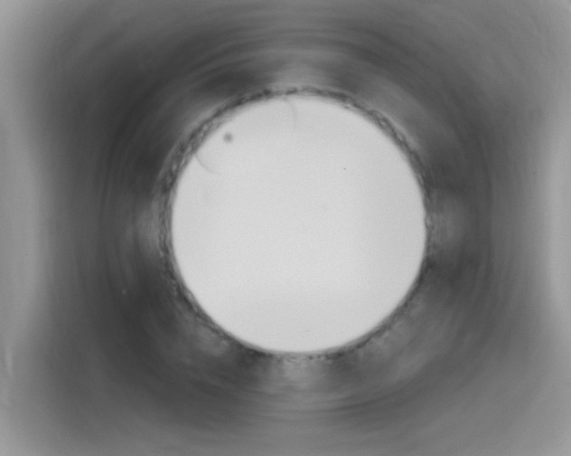 X0000115850832200911131125