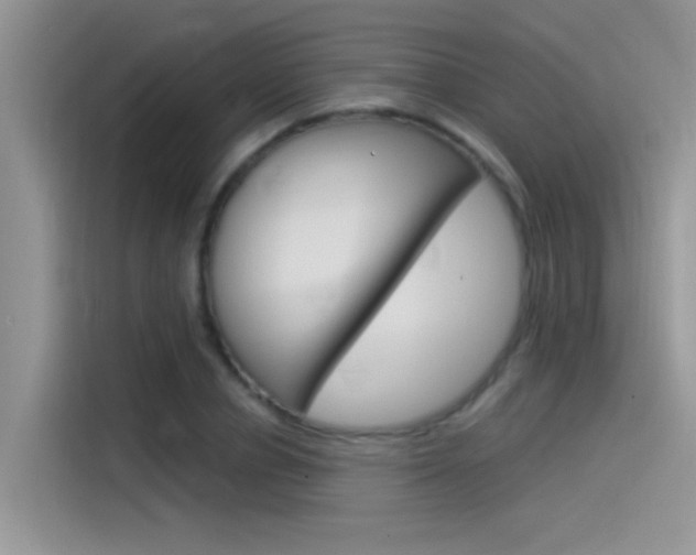 X0000115850834200911131125
