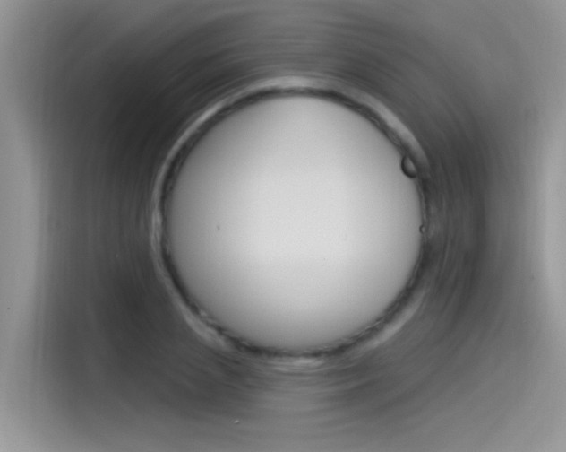 X0000115850837200911131125