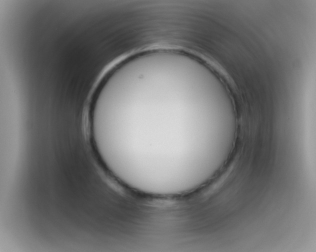 X0000115850838200911131125