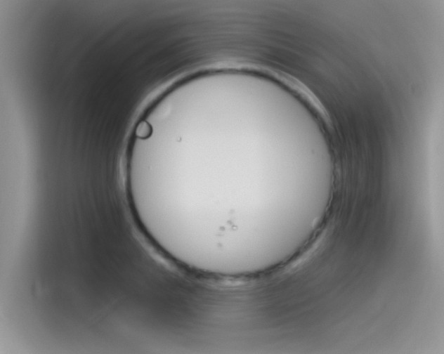 X0000115850839200911131125