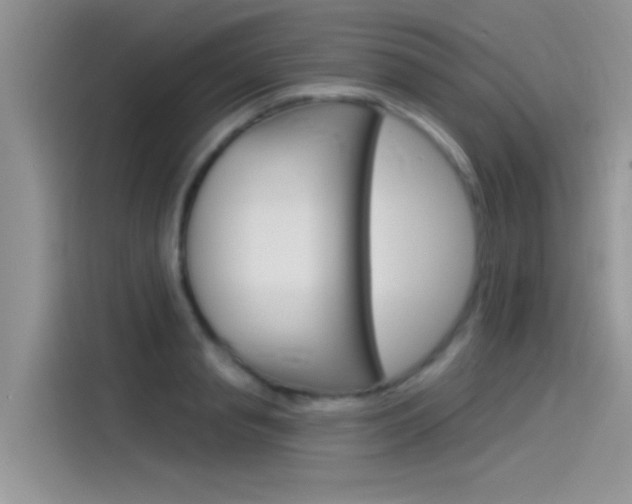 X0000115850845200911131125
