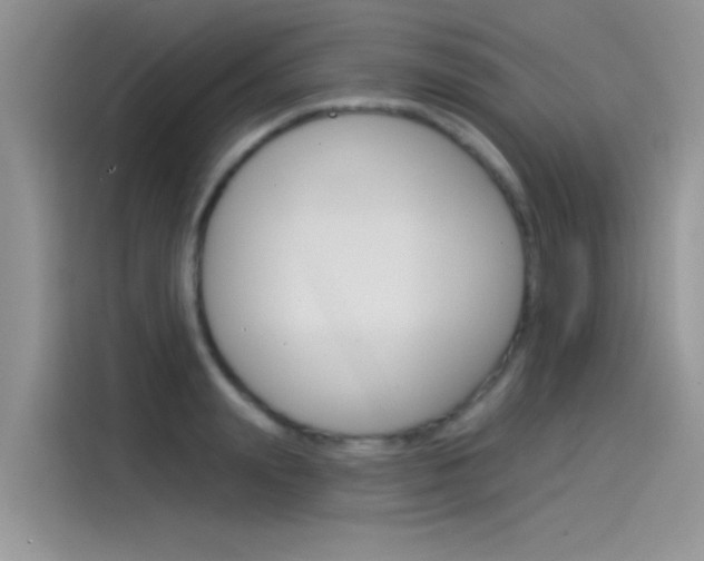 X0000115850847200911131125