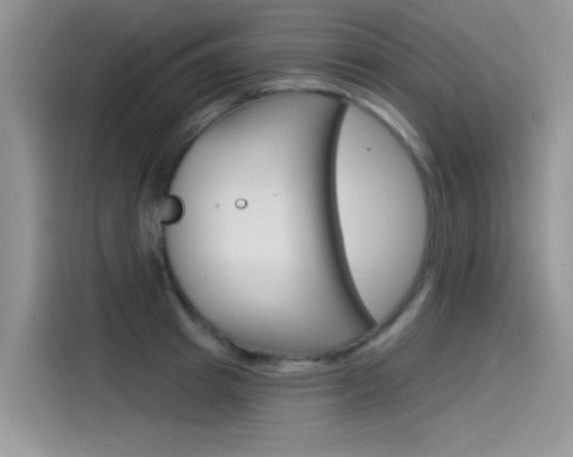 X0000115850849200911131125