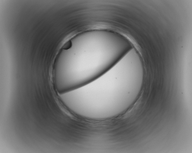 X0000115850850200911131125