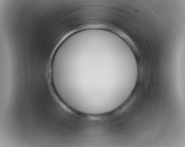 X0000115850852200911131125