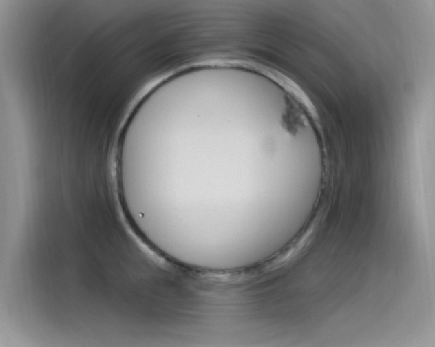 X0000115850855200911131125
