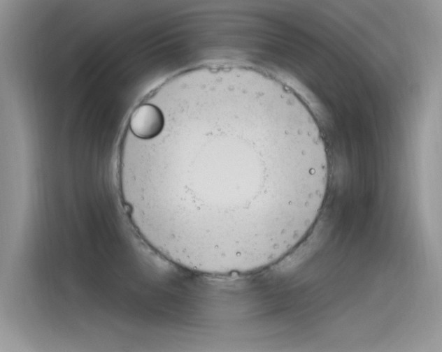 X0000115850856200911131125