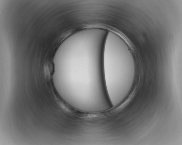 X0000115850857200911131125