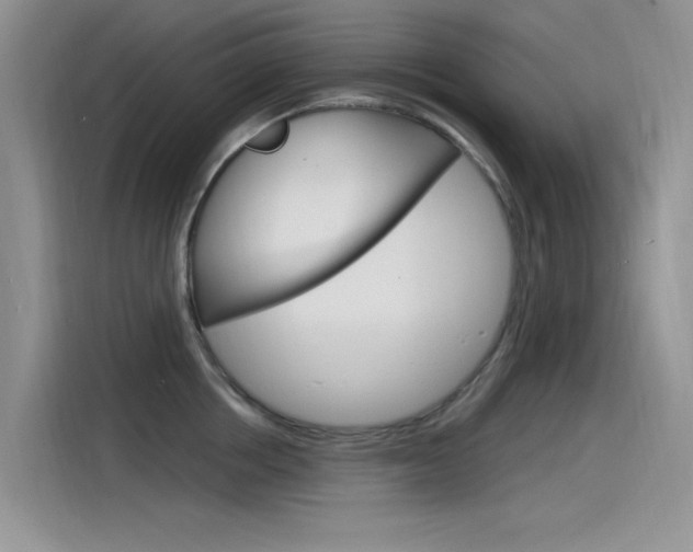 X0000115850858200911131125