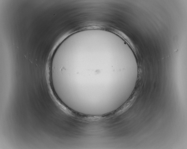 X0000115850859200911131125