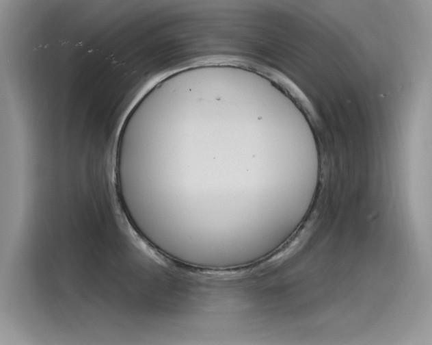 X0000115850860200911131125